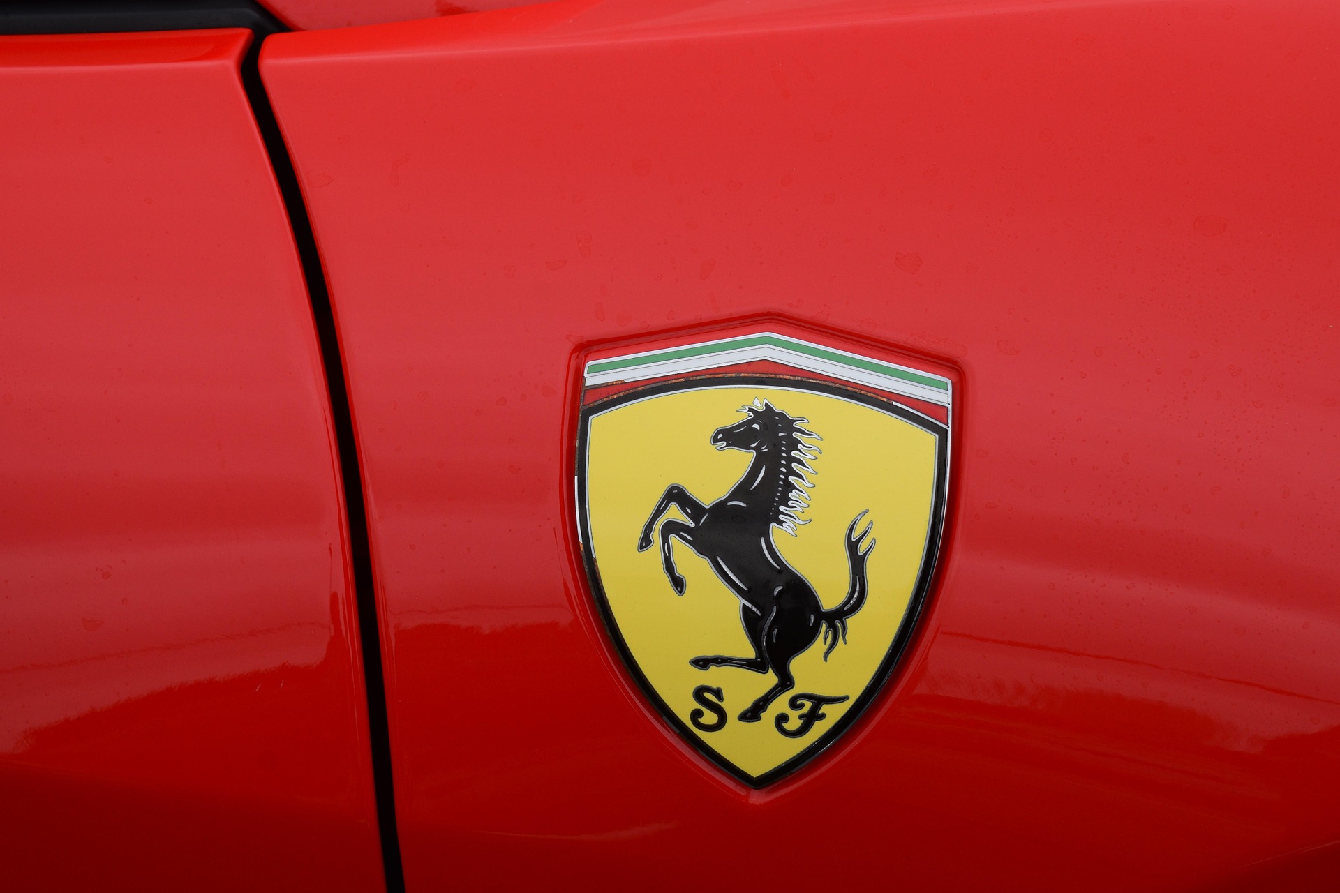 Horse